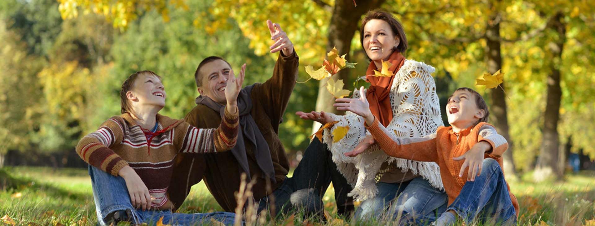 life_fall_banner